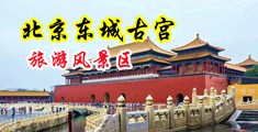 插入美女小穴视频中国北京-东城古宫旅游风景区